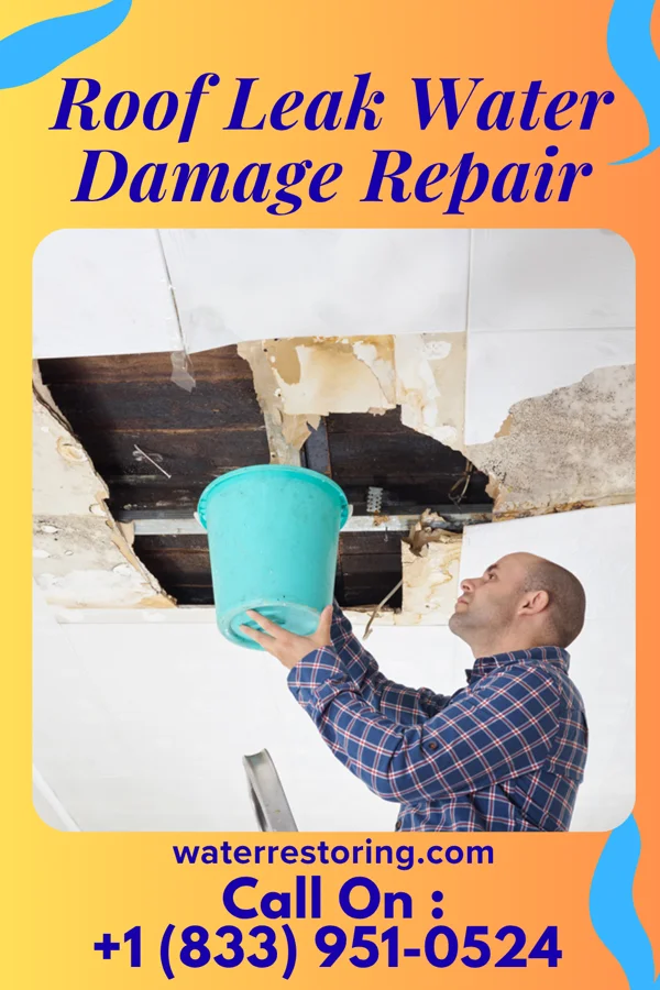 Roof Leak Water Damage Repair in Randall, MN
