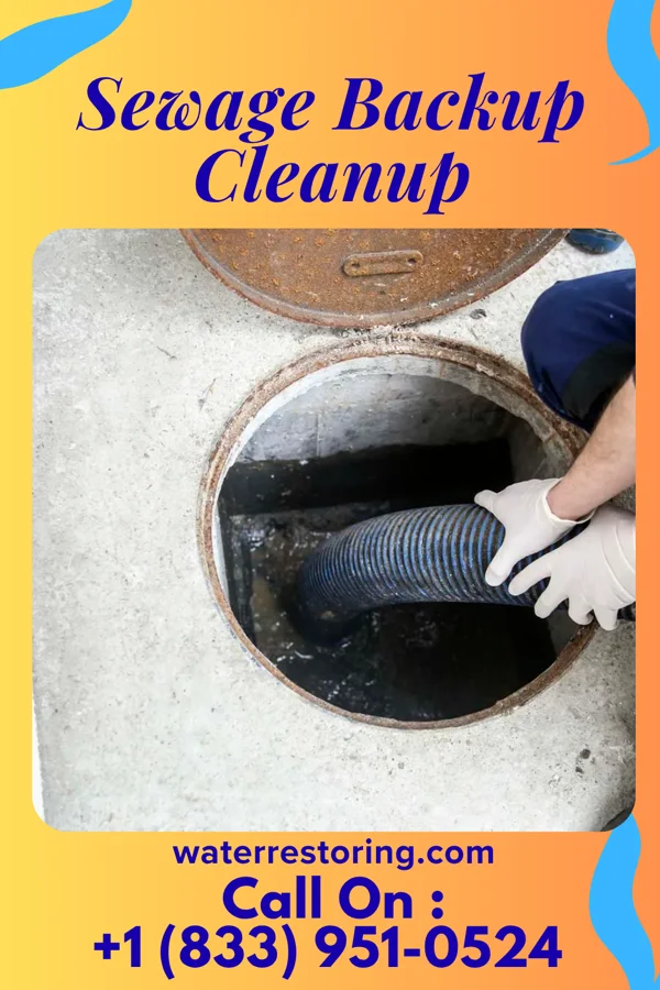 Sewage Backup Cleanup in Randall, MN